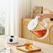 Заварювальний чайник Xiaomi Mijia Smart Multifunctional Health Kettle S1 + (перехідник на EU розетку)