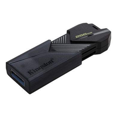 Купити Флеш-накопитель Kingston USB 3.2 Gen 1 (USB 3.0) 256GB Black