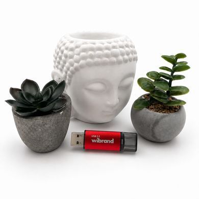 Купити Флеш-накопичувач Wibrand USB 3.2 Gen1 Ladybug 64GB Red
