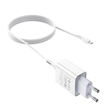 Купити Мережевий зарядний пристрій Hoco C81A White