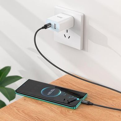 Купити Кабель HOCO X89 Wind 60W charging data cable Type-C to Type-C Black