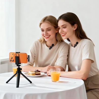 Купити Бездротова мікрофонна система BOROFONE BFK16A Winner dual-mic (Type-C) Black