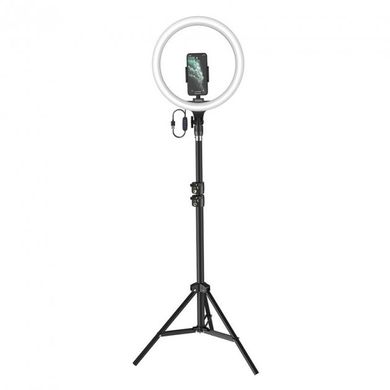 Купити Кольцевая лампа Baseus Live Stream Holder-floor Stand(12-inch LightRing) - Уценка