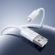 Кабель BOROFONE BX123 Leya silicone charging data cable Type-C White
