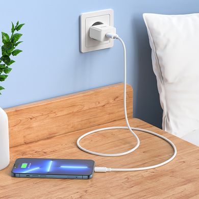 Купити Мережевий зарядний пристрій Hoco C106A charger set(iP) White