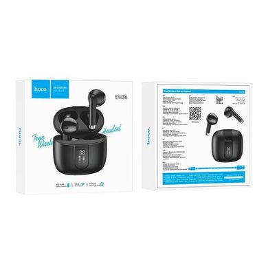 Купити Бездротові навушники Hoco EW36 Delicate true wireless Bluetooth 5.3 Black