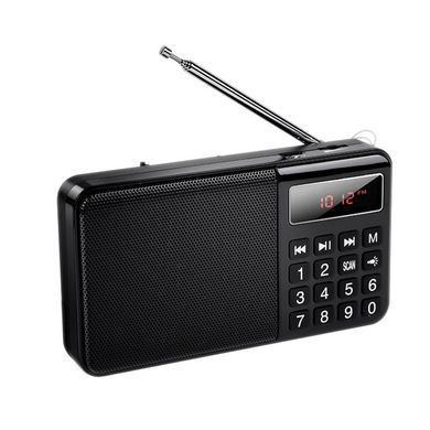 Купити Портативне радіо HOCO HI50 Portable radio