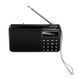 Портативне радіо HOCO HI50 Portable radio