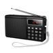 Портативне радіо HOCO HI50 Portable radio