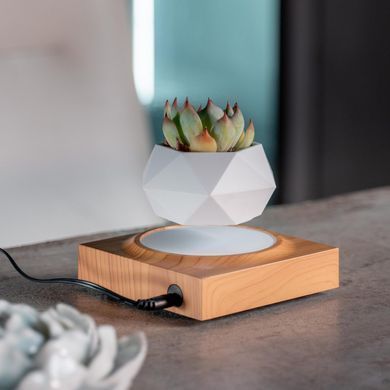 Купити Магнітний левітуючий горщик для рослин HCNT Magnetic Levitating Pot M10-FP Wood Grain