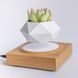 Магнітний левітуючий горщик для рослин HCNT Magnetic Levitating Pot M10-FP Wood Grain
