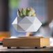Магнітний левітуючий горщик для рослин HCNT Magnetic Levitating Pot M10-FP Wood Grain