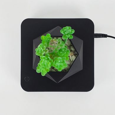 Купити Магнітний левітуючий горщик для рослин HCNT Magnetic Levitating Pot M10-GW4 Black