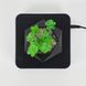 Магнітний левітуючий горщик для рослин HCNT Magnetic Levitating Pot M10-GW4 Black