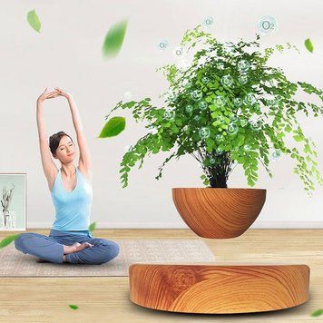 Купити Магнітний левітаційний горщик для рослин HCNT Magnetic Levitating Pot M10-PS Wood Grain