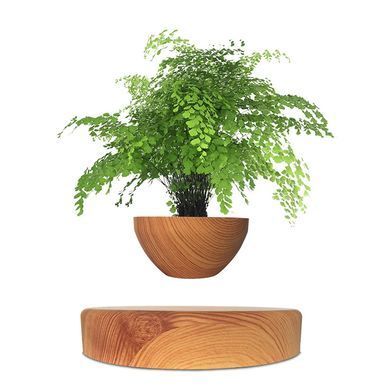 Купити Магнітний левітаційний горщик для рослин HCNT Magnetic Levitating Pot M10-PS Wood Grain