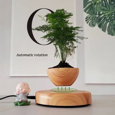 Купити Магнітний левітаційний горщик для рослин HCNT Magnetic Levitating Pot M10-PS Wood Grain