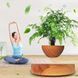 Магнітний левітаційний горщик для рослин HCNT Magnetic Levitating Pot M10-PS Wood Grain