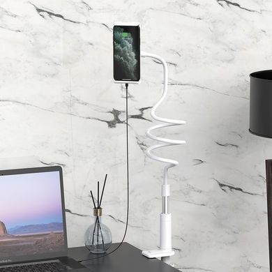 Купити Держатель для мобильного HOCO PH24 Balu tablet PC stand Silver+White