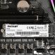 Накопичувач SSD Patriot P310 240GB M.2 2280 PCI Express 3.0 x4 3D TLC NAND