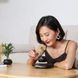 Магнитный левитирующий горшок для растений HCNT Magnetic Levitating Pot