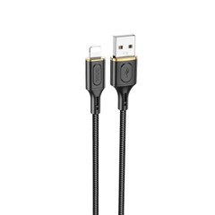 Купити Кабель Hoco X95 Goldentop USB Apple Lightning 2.4 A 1m Black