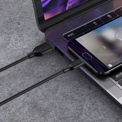 Купити Кабель Borofone BX42 Encore USB Micro 2.4 A 1m Black