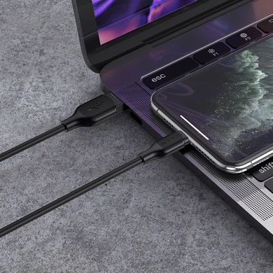 Купити Кабель Borofone BX42 Encore USB Lightning 2.4 A 1m Black