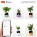 Інтерактивний розумний горщик для рослин Ivy Smart Planter Tuya AI, Purple