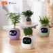Інтерактивний розумний горщик для рослин Ivy Smart Planter Tuya AI, Purple
