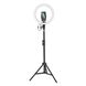 Кільцева лампа Baseus Live Stream Holder-floor Stand(12-inch LightRing)