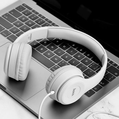 Купити Навушники HOCO W21 Graceful charm wire control headphones Gray